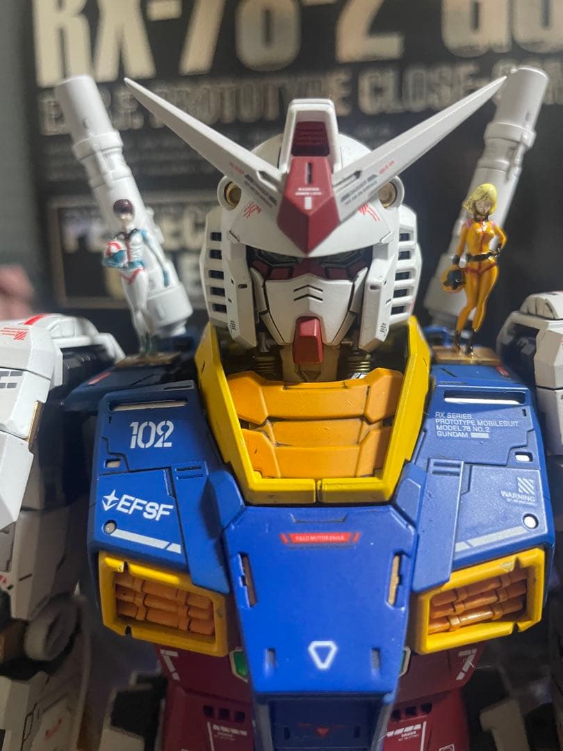 カメ② PG unleashedガンダム完成品