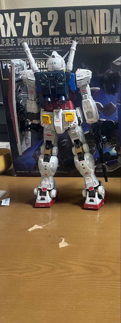 カメ② PG unleashedガンダム完成品