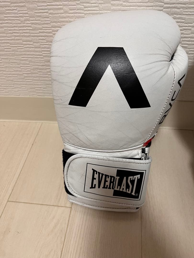 RVCA & EVERLAST 14 oz ボクシンググローブ 中古品