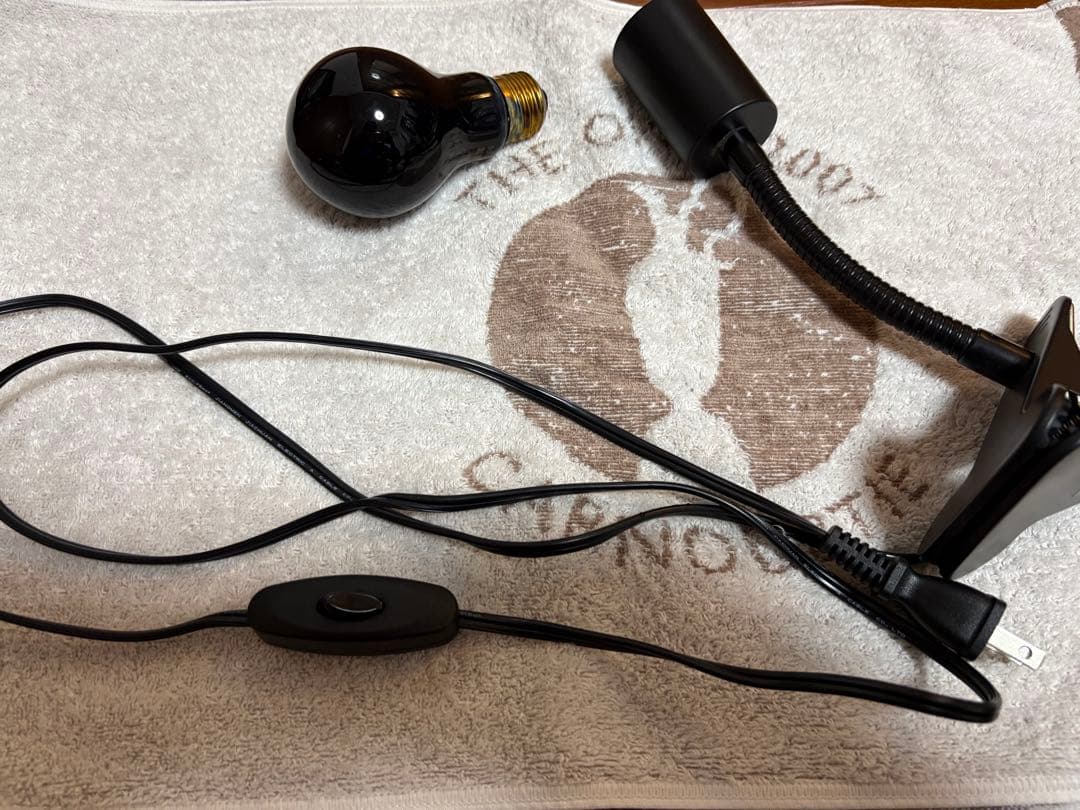 【最終値下げ】爬虫類飼育セット（爬虫類飼育ガラスケージセット）