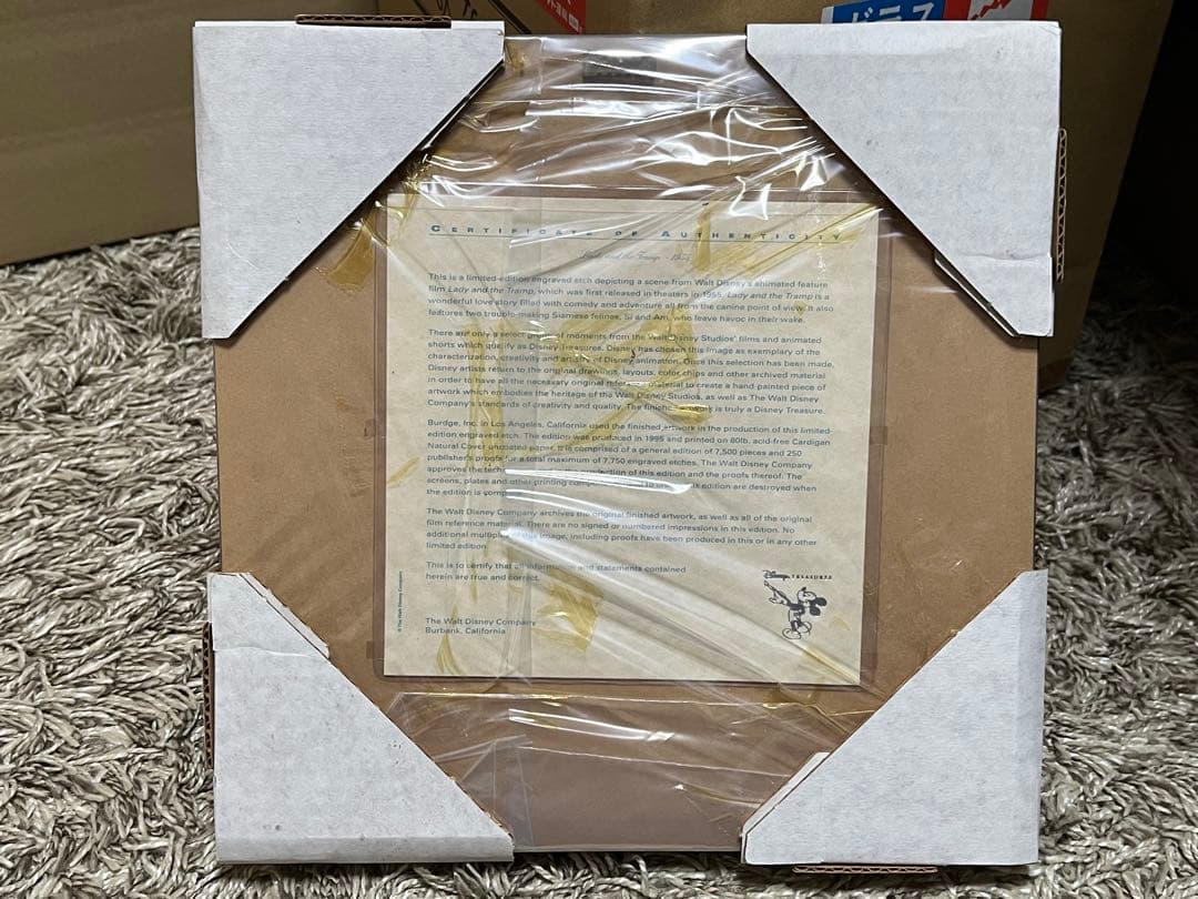 ディズニー トレジャー わんわん物語 サイ&アム アートギャラリー フレーム