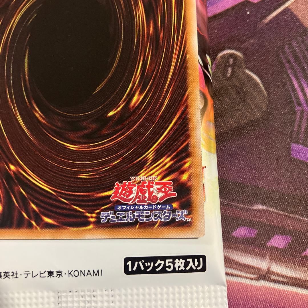 耀聖の風詩レギナ　プリシク