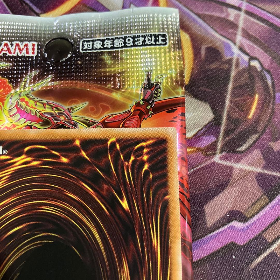 耀聖の風詩レギナ　プリシク