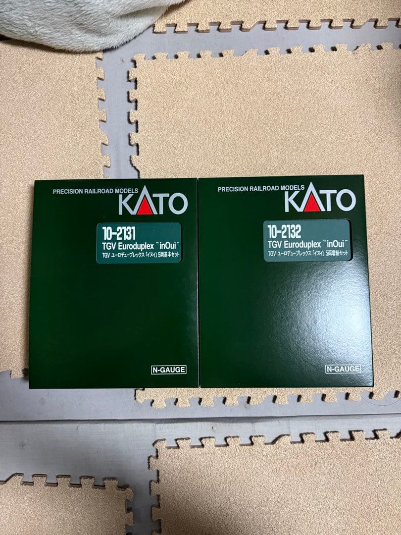 TGV ユーロデュープレックス　イヌイ