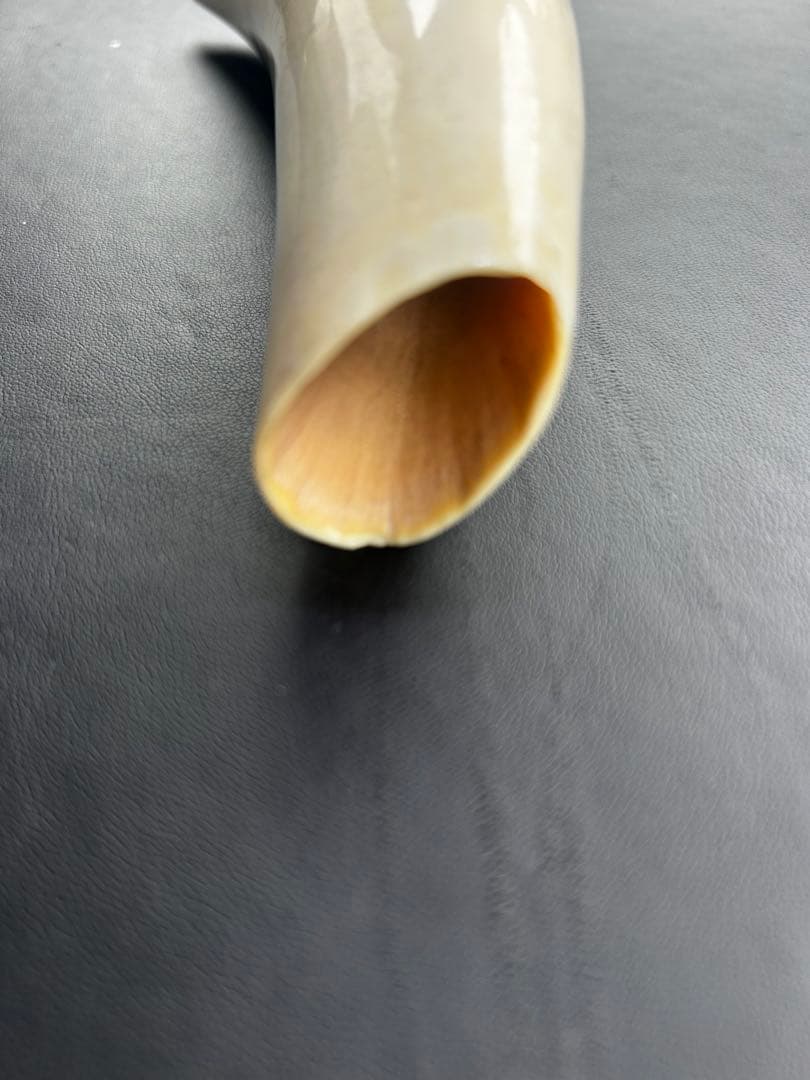 鯨/鯨歯/クジラ/歯/牙/263.68g