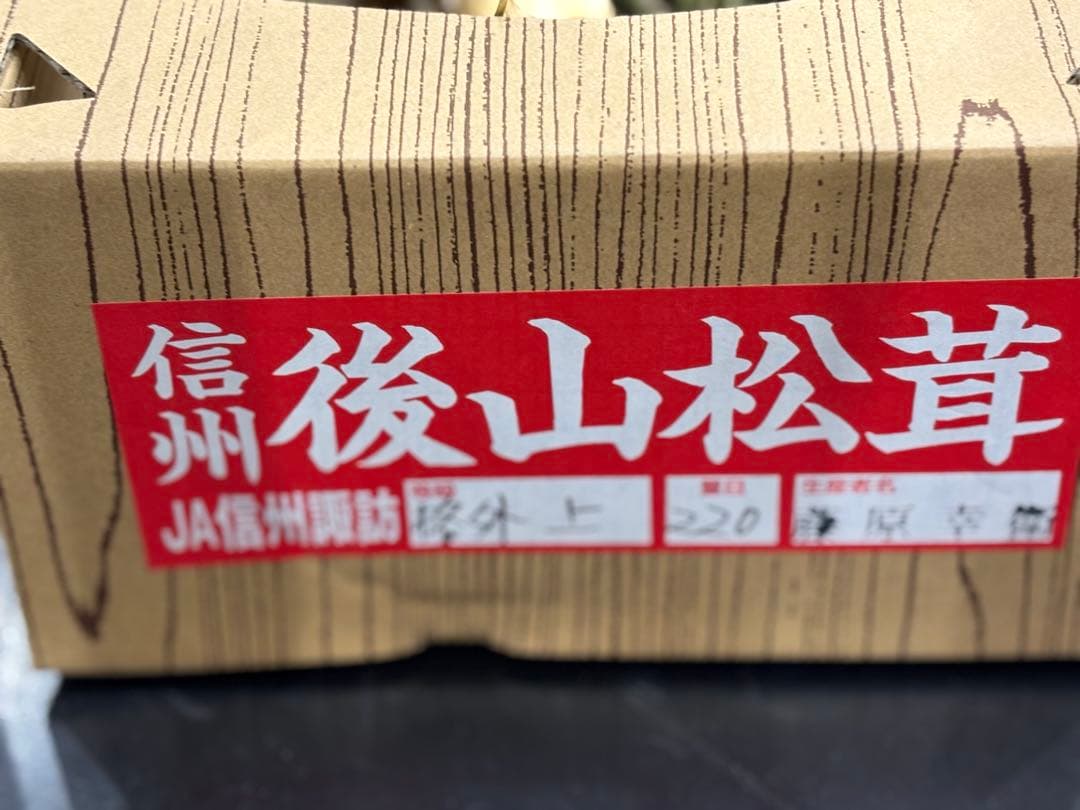 【特価】信州 後山松茸 大きめ 1本220g