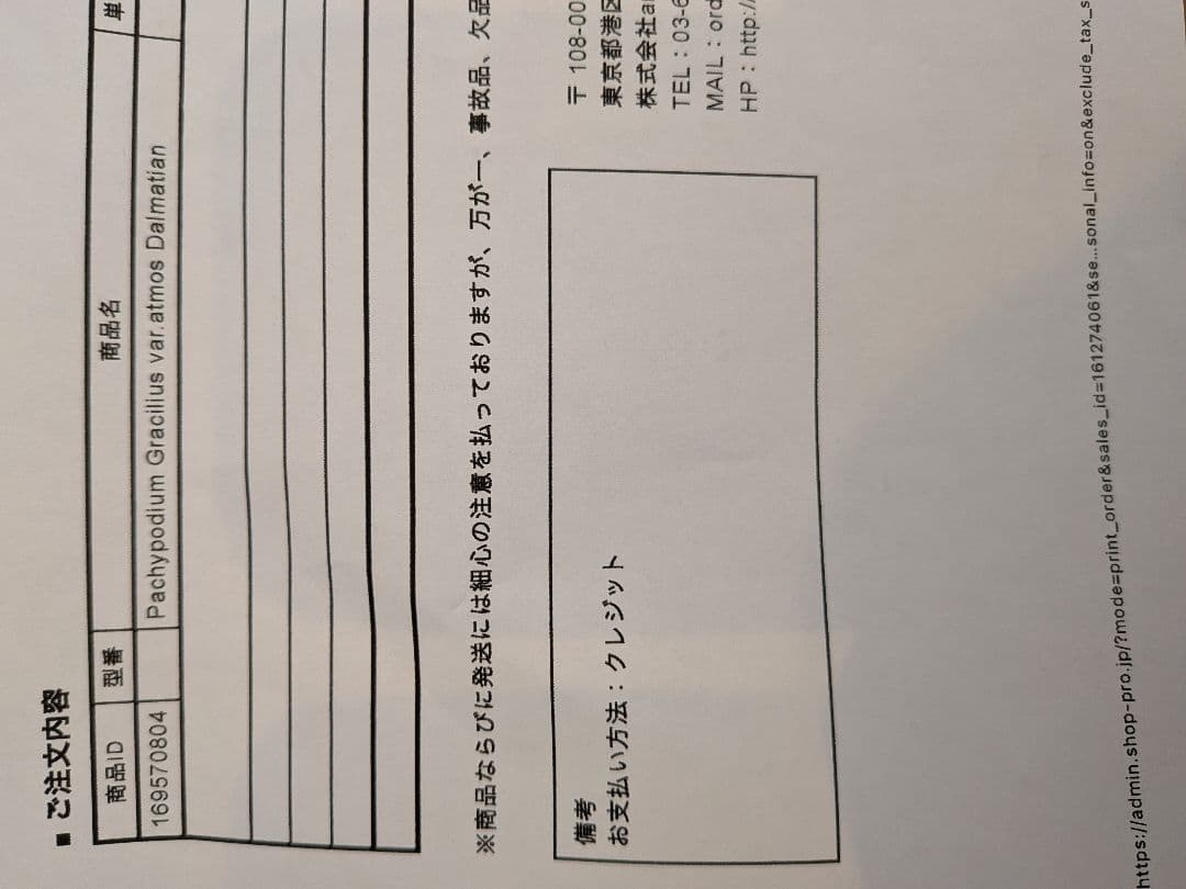 その他 atmos BOTANIZE Vinyl Collectible Doll