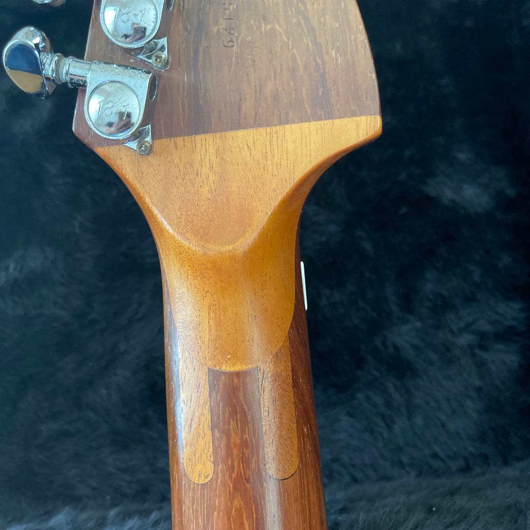 WASHBURN N4 パドゥーク