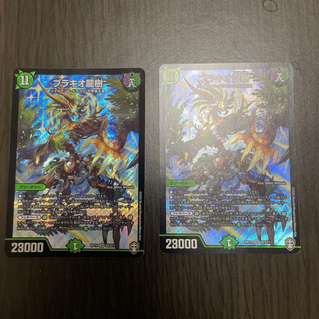 ブラキオ龍樹　2枚