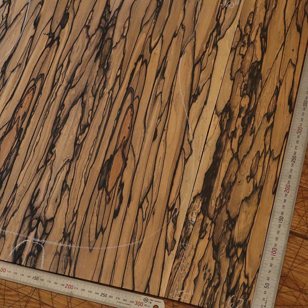 ペールムーンエボニー D用セット