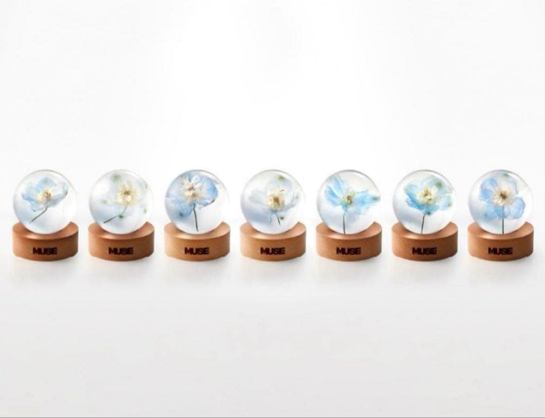 JIMIN MUSE ペーパーウェイト＊