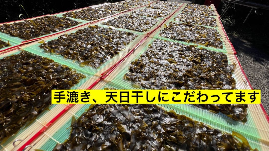 mi 様　【送料無料】新春はばのり5枚入り4セット