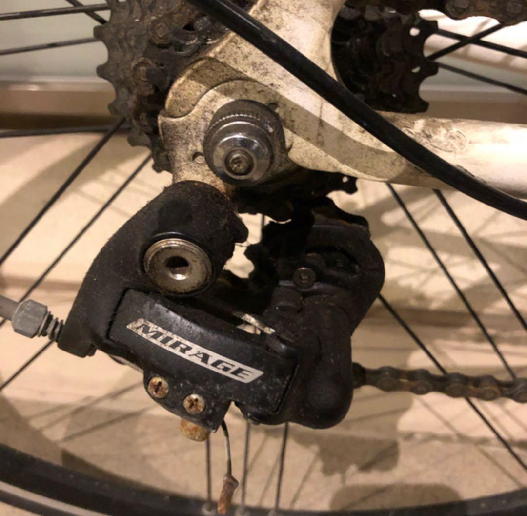 CINELLI XPERIENCE EVA UNICA 直接引渡し