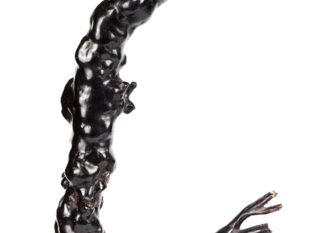 中国美術 時代 天然 隨形 海松 置物 大型 古美術 深海松 黒珊瑚