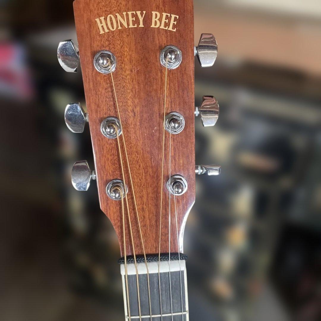 美品　HONEY BEE　F-15 / N　アコースティックギター