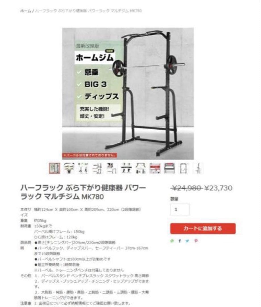 WASAI MK780 ハーフラック ぶら下がり健康器（1）(1/2)
