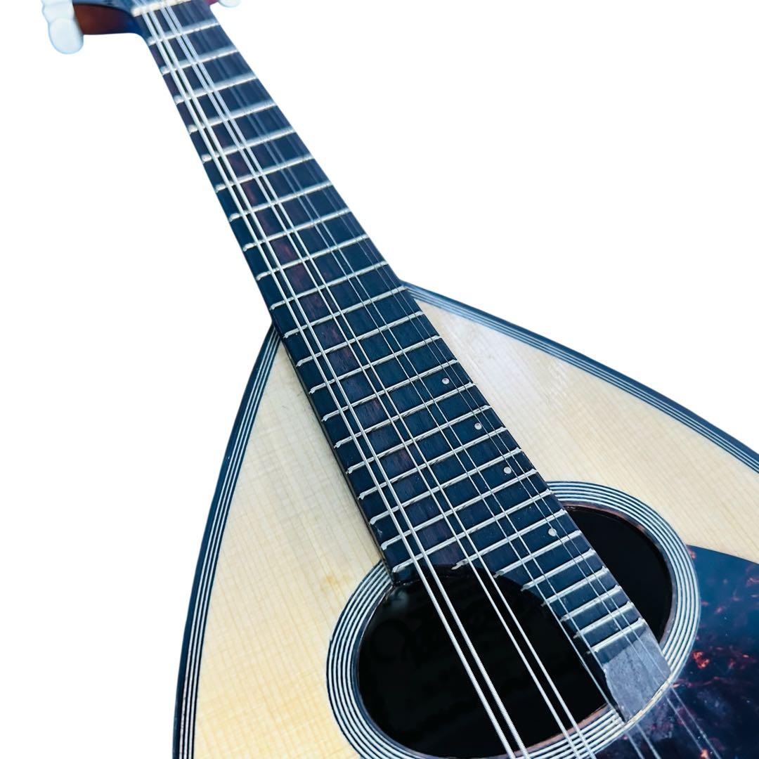 Venezia マンドリン　M-30 石川捷二郎　ハードケース付