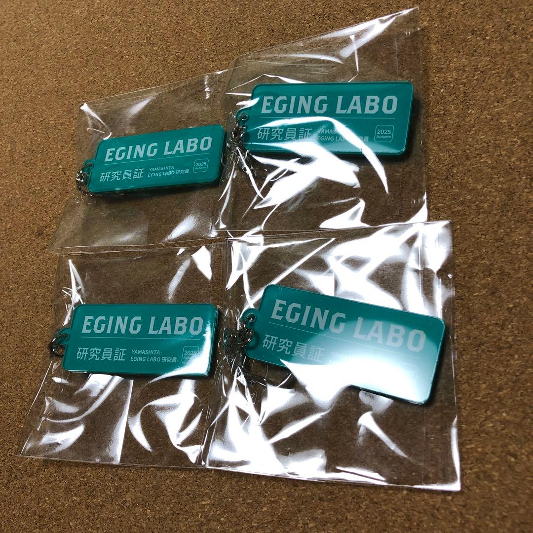 ヤマシタ エギ王K エギングラボ ポラマジ虹 ポラマジメジナ ルアー エギ 餌木