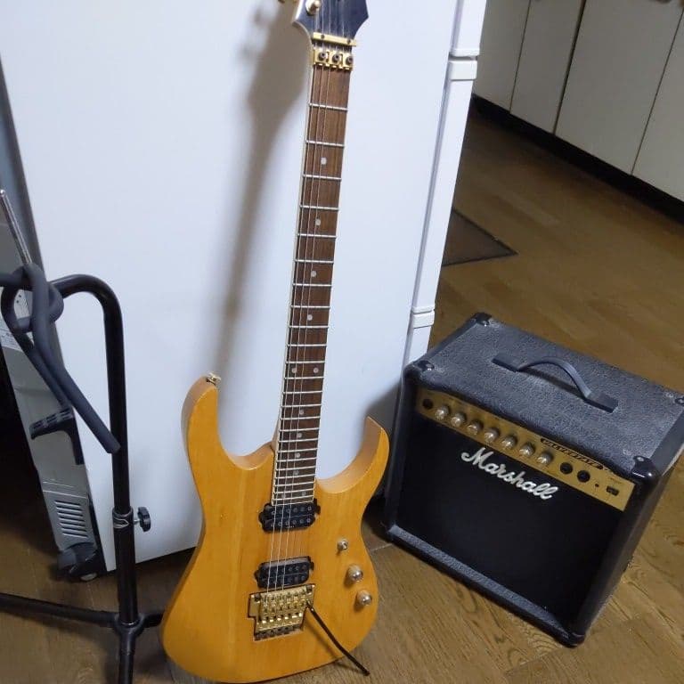 エレキギター レスポール