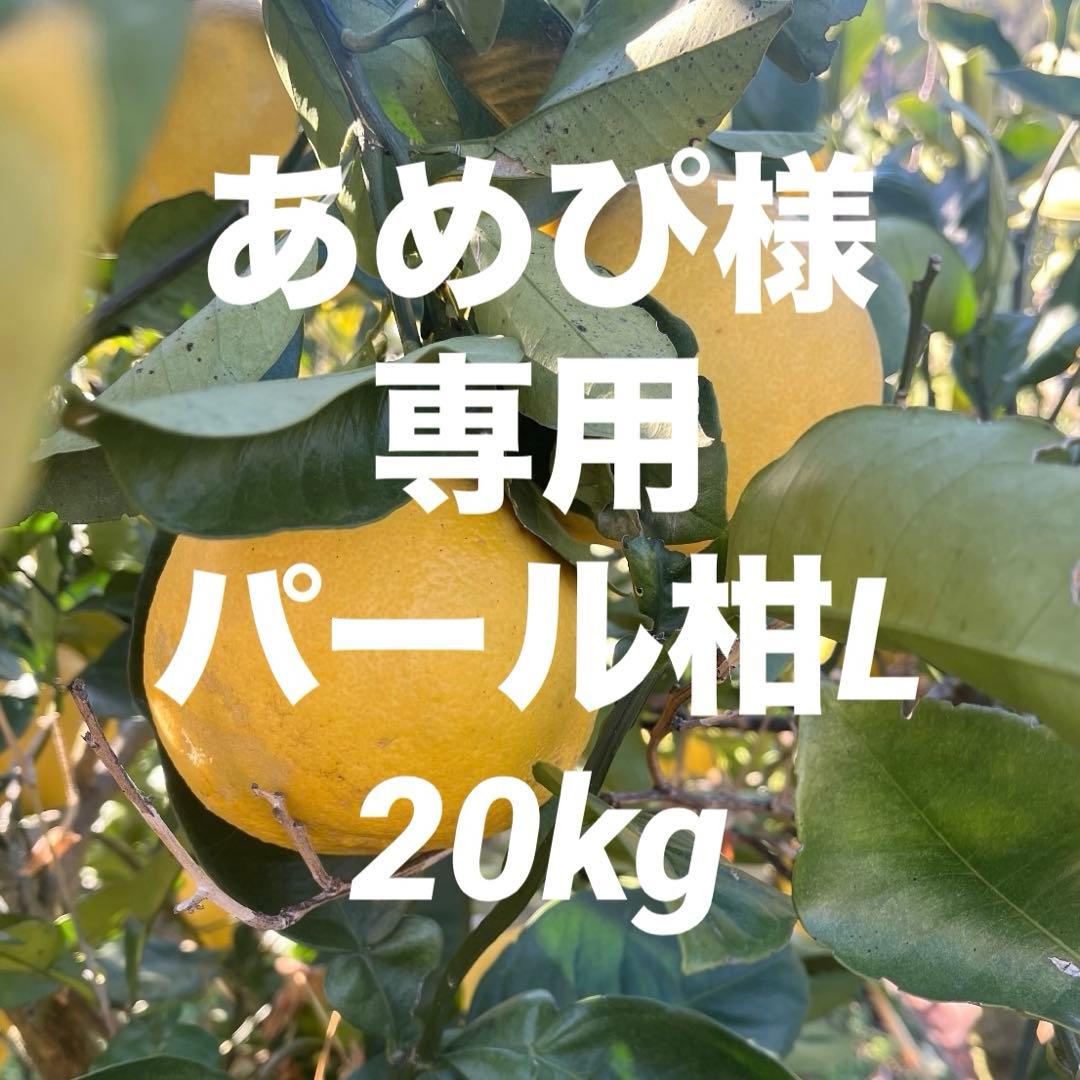 あめぴパール柑L20kg
