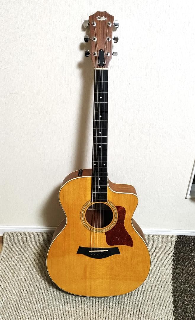 Taylor 214ce エレアコ アコースティックギター 純正ケース付き