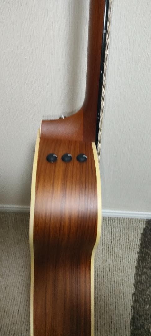 Taylor 214ce エレアコ アコースティックギター 純正ケース付き