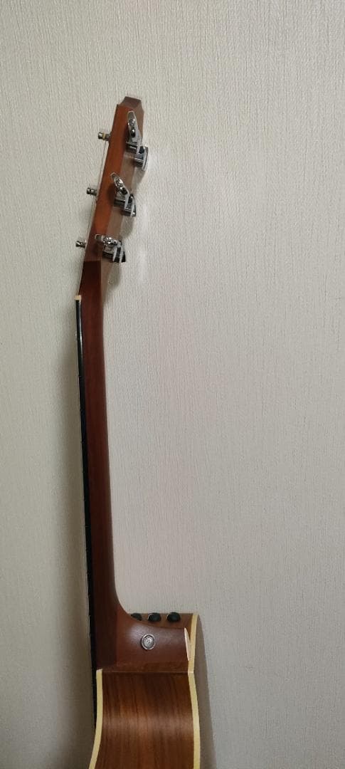 Taylor 214ce エレアコ アコースティックギター 純正ケース付き