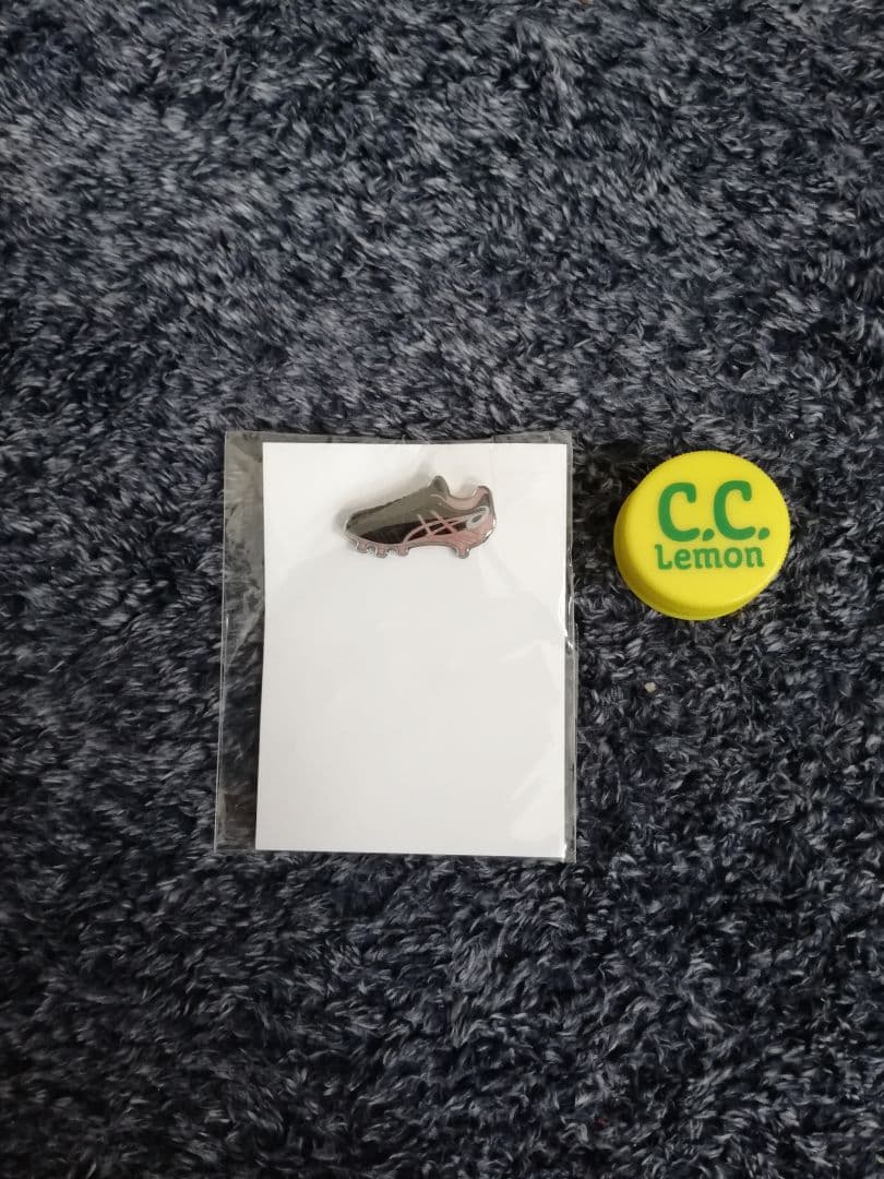 ラグビー　ワールドカップ2019 パンフレット　おまけ付き！