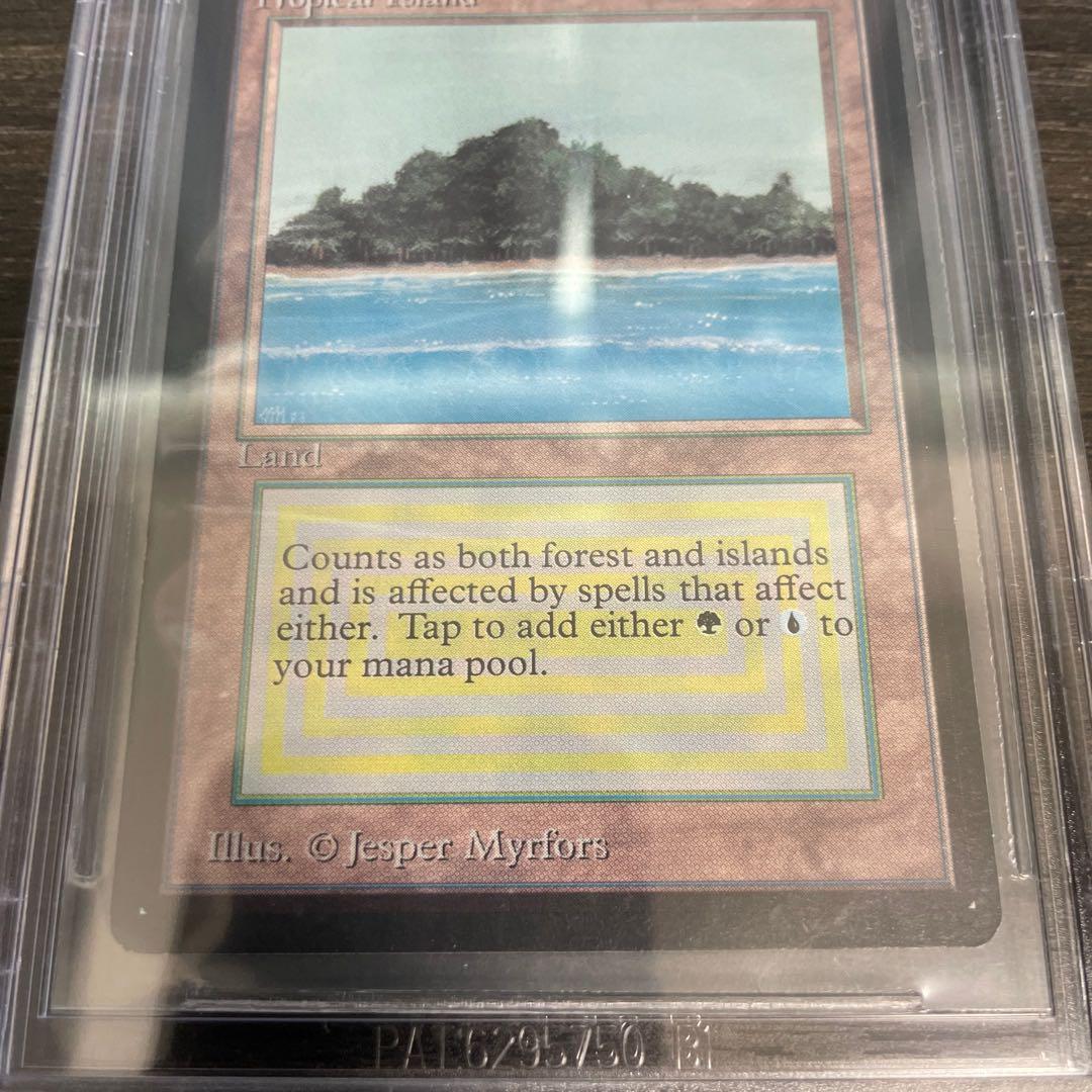 マジック：ザ・ギャザリング Tropical  LEB BGS9