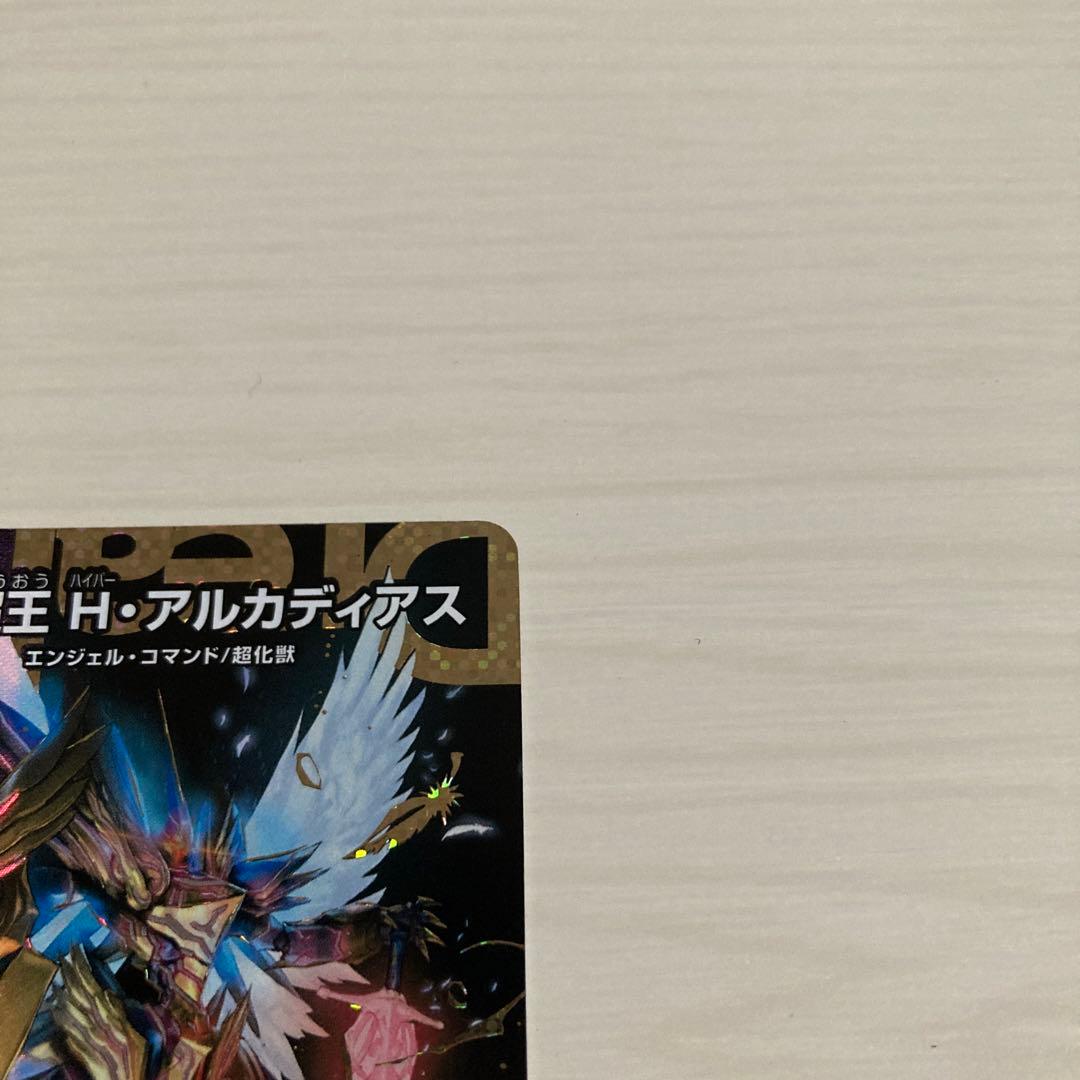 メルカリ便 聖霊超王 Hアルカディアス 秘 シク シークレット