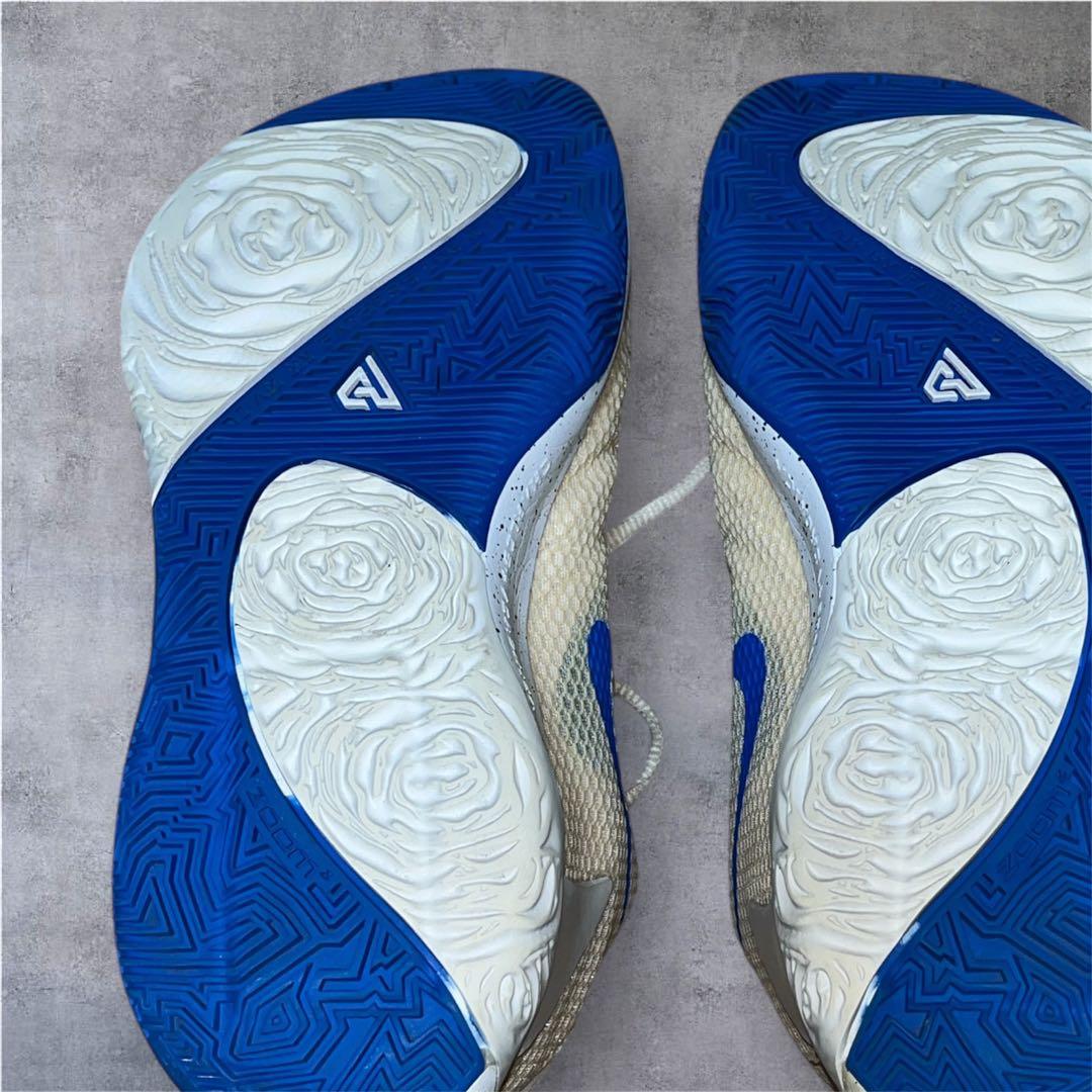 Nike zoom freak1 26cm バッシュ