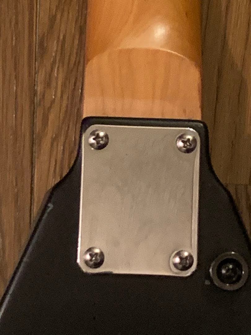 ランディローズ V型エレキギター