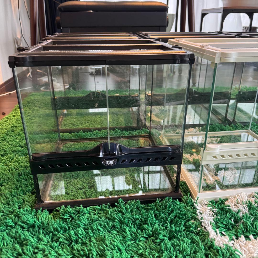 爬虫類飼育ケージ GEX 3030 テラリウム　7個セット