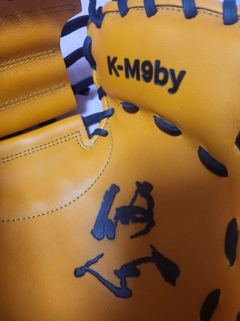 ハタケヤマ 硬式用ミット　捕手用【基本モデル　M9型】 野球 km9by