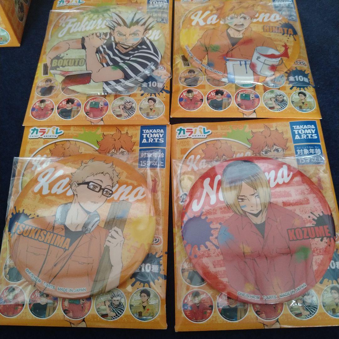 ハイキュー !! ペイントスーツ 缶バッジ