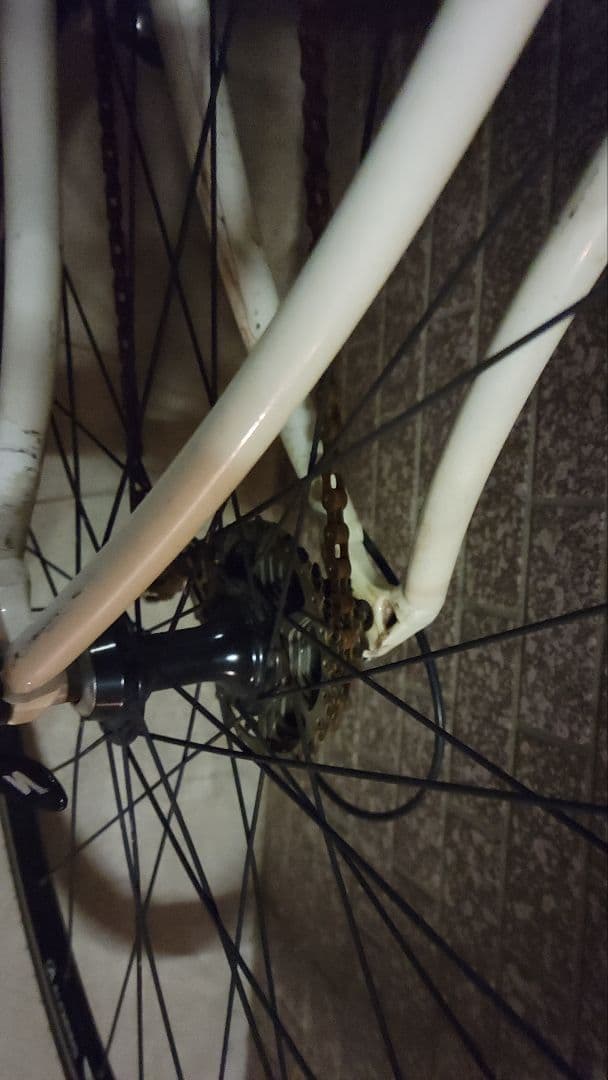 Specialized アレースポーツ