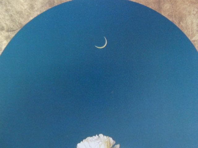 小澤一正、【日常の静物―芍薬―】、希少な額装用画集画、新品高級額