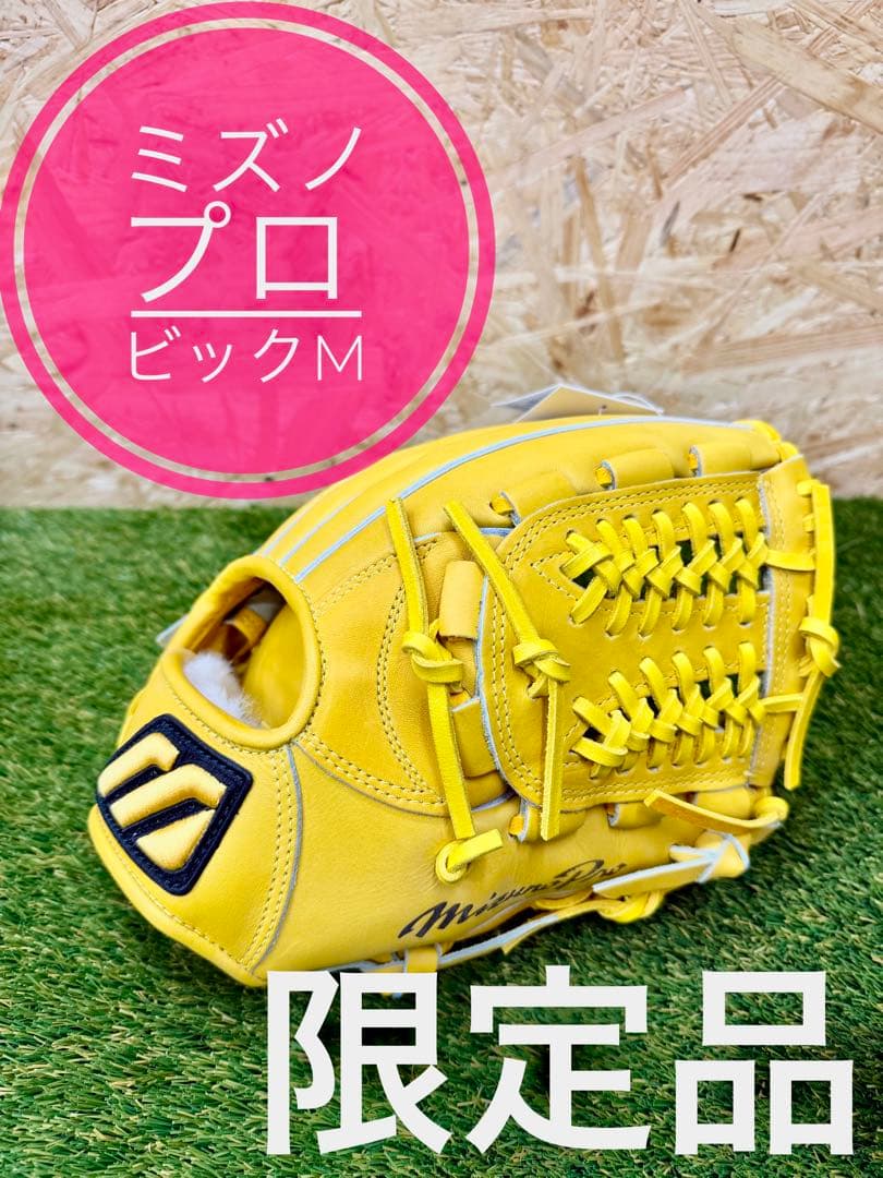 ミズノプロ　ビックM 限定品　新品未使用