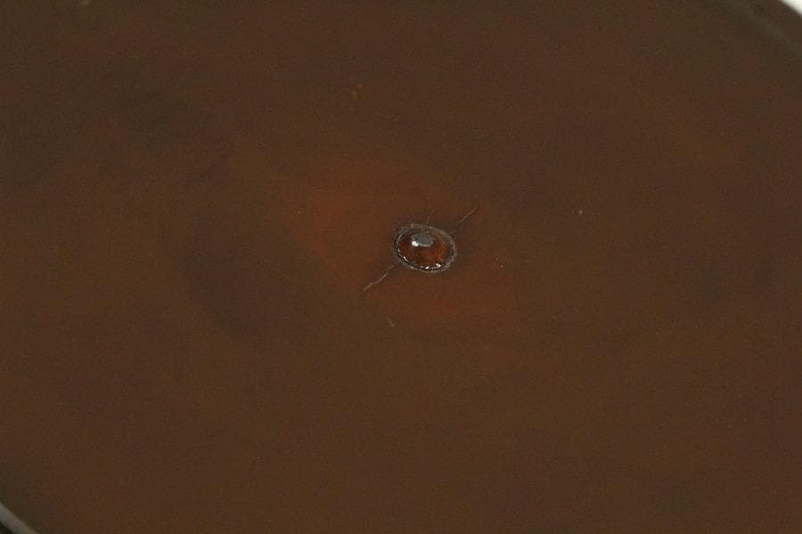 古鉄 持ち手 唐草 銀象嵌 瓶 注器 鉄瓶 銀摘 金縁朱塗蓋(K-XA812)