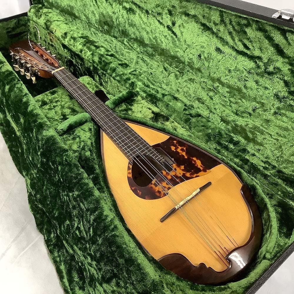 落合忠男 マンドリン 1978 ハードケース付