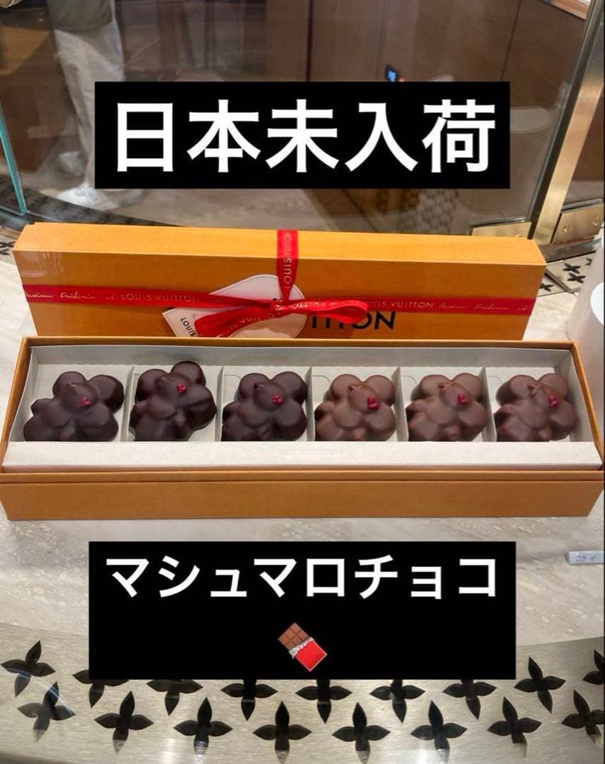 【日本未入荷】Louis Vuitton ヴィヴィエンヌ チョコマシュマロ村上隆
