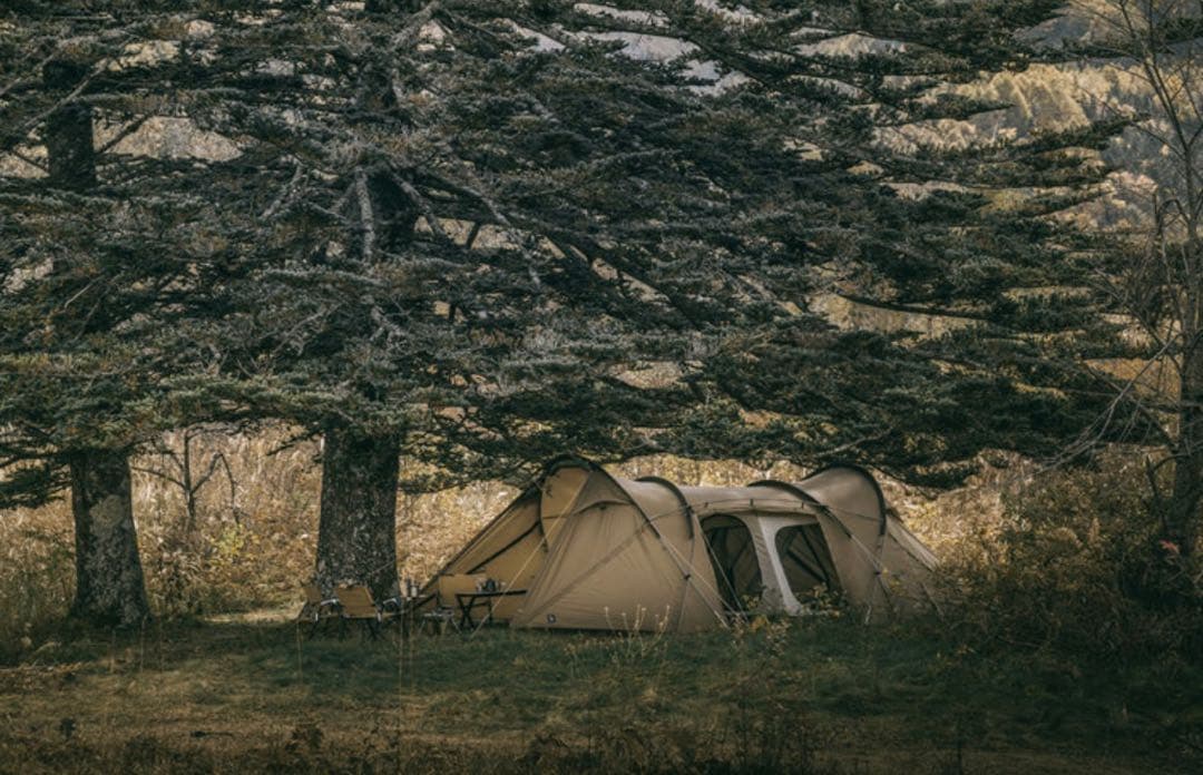 新品未使用 ZANE ARTS DT-032 ROGA ゼインアーツ ロガ