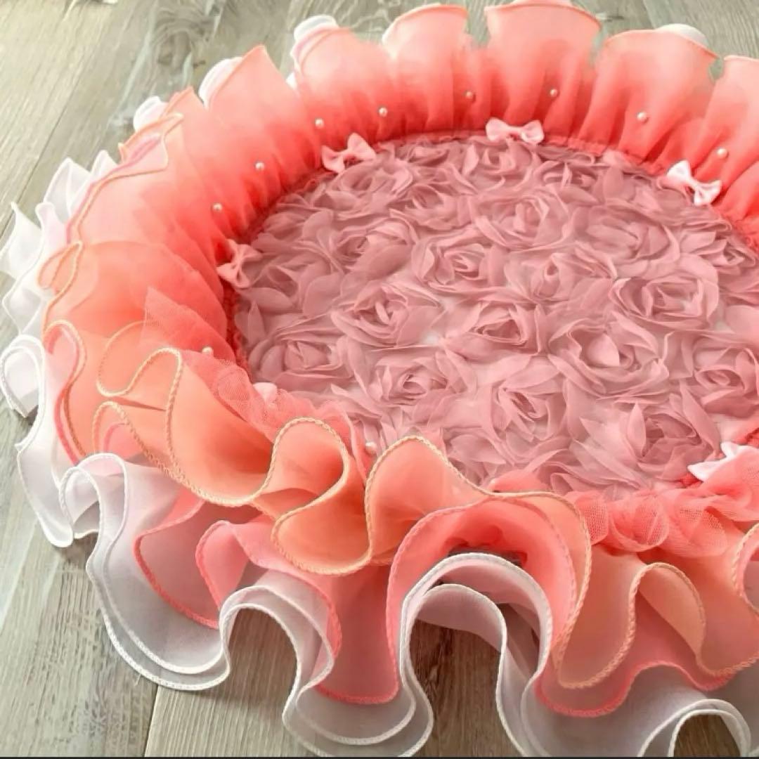 Mona様✨️御専用カフェマット(2枚)