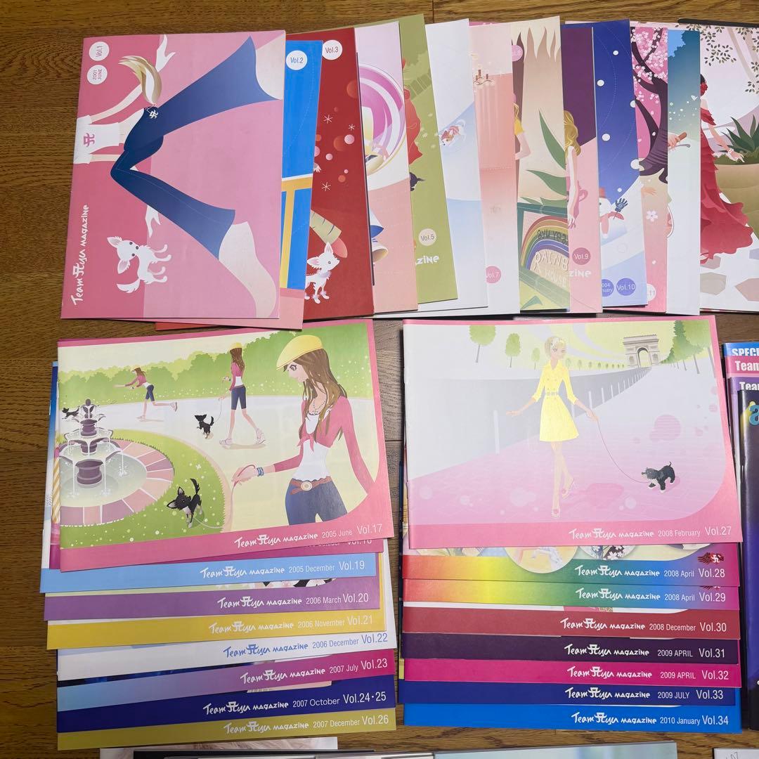 【激レア】浜崎あゆみ TeamAyu TA会報1〜47オマケ付き