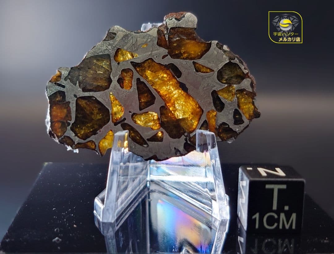 ⭐️11.3g イミラック パラサイト 隕石 Imilac