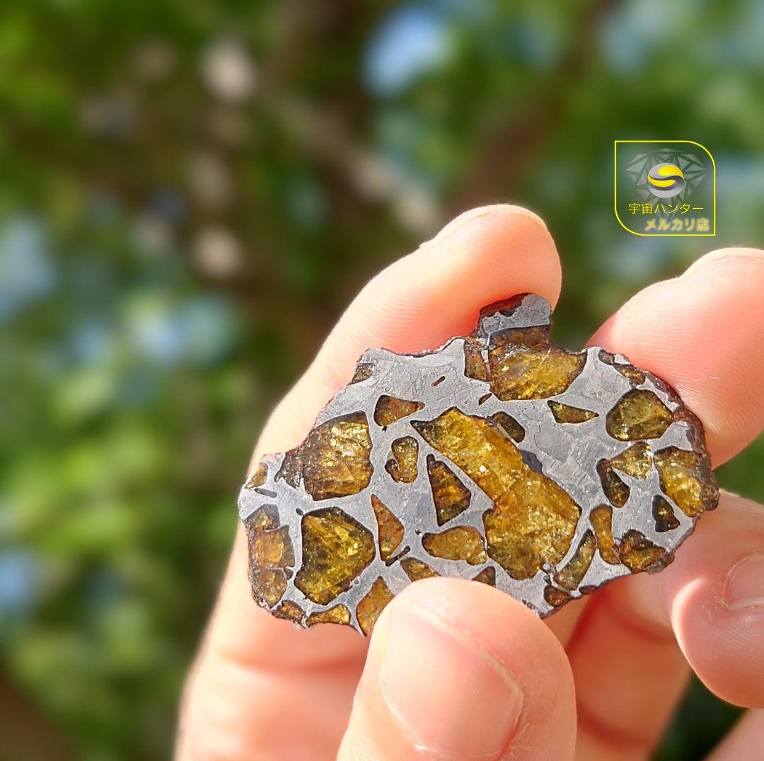 ⭐️11.3g イミラック パラサイト 隕石 Imilac