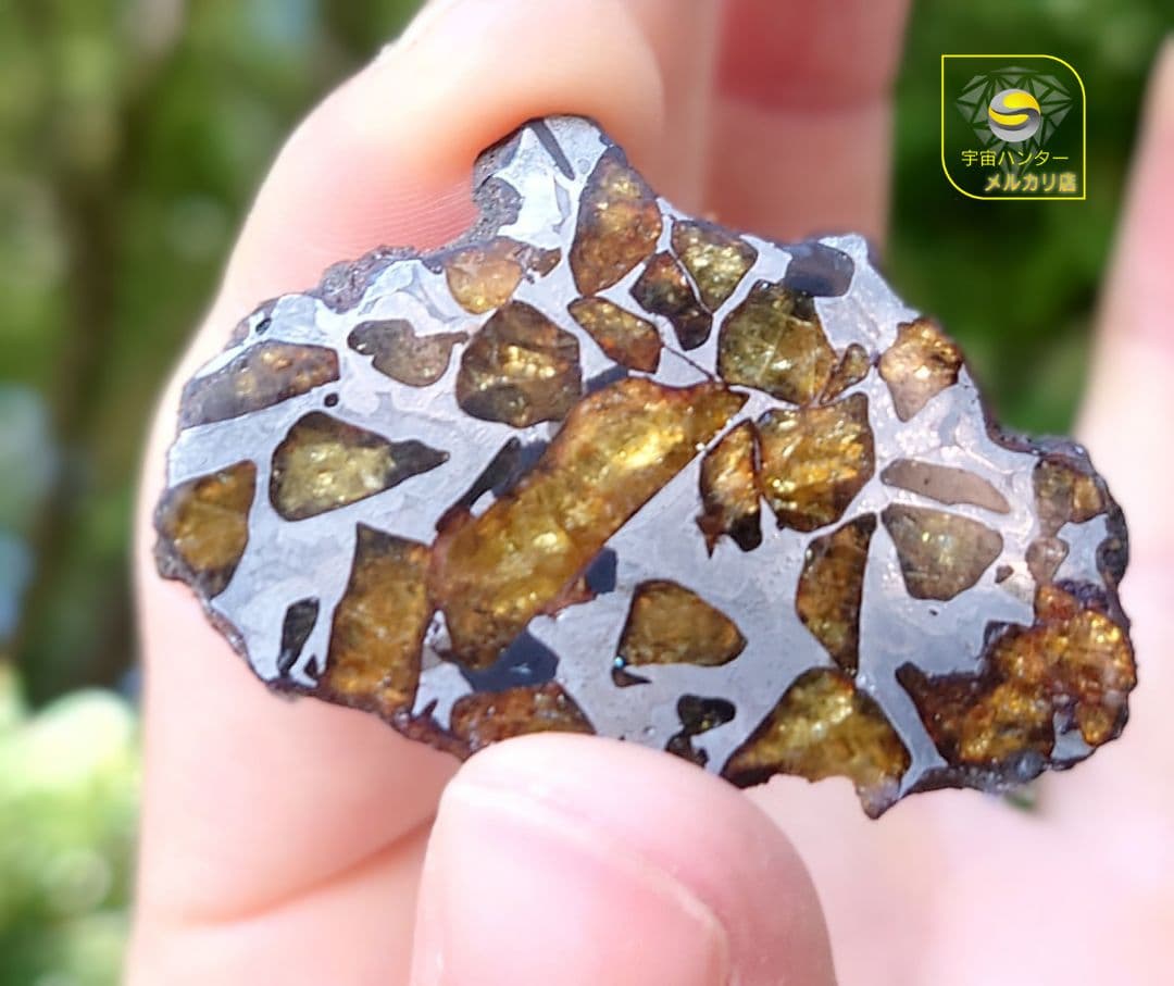 ⭐️11.3g イミラック パラサイト 隕石 Imilac