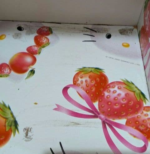 激レア！ハローキティ　フリーボックス　ロング　フルーツ柄　サンリオ　2002年