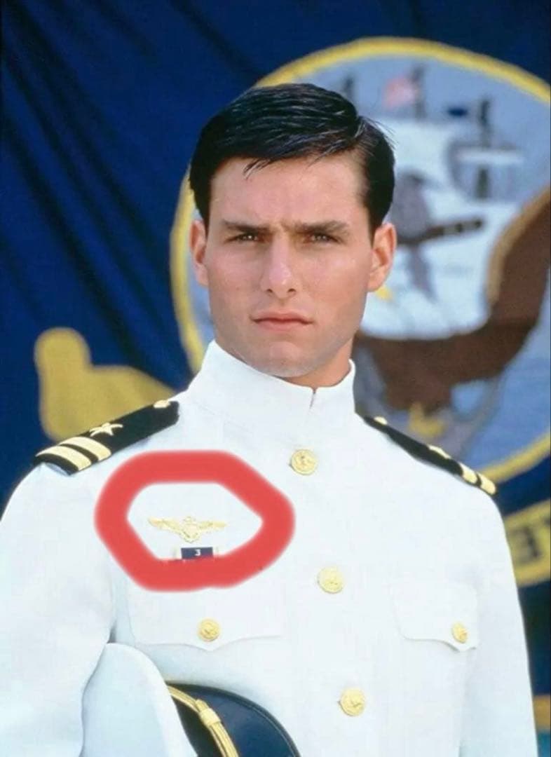 ヴァンガード 米海軍アビエーター パイロットバッジ 【正規品　未開封】