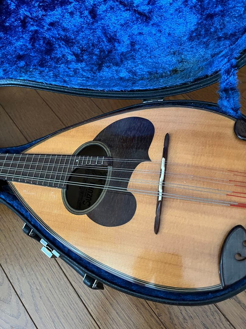 SUZUKI　マンドリン　M-30　 ハードケース付